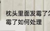枕头里面发霉了怎么办啊 枕头里面发霉了如何处理