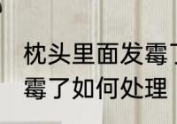 枕头里面发霉了怎么办啊 枕头里面发霉了如何处理