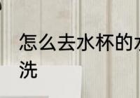 怎么去水杯的水垢 水杯的水垢如何清洗