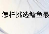 怎样挑选鳕鱼最好吃 挑选鳕鱼的方法