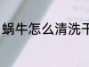 蜗牛怎么清洗干净 蜗牛如何清洗干净