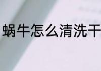 蜗牛怎么清洗干净 蜗牛如何清洗干净