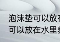 泡沫垫可以放在水里养吗 泡沫垫可不可以放在水里养吗