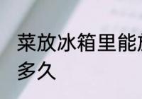 菜放冰箱里能放几天 菜放冰箱里能放多久