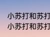小苏打和苏打有什么区别 有什么区别小苏打和苏打