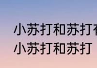 小苏打和苏打有什么区别 有什么区别小苏打和苏打