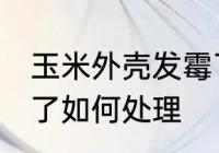 玉米外壳发霉了怎么办 玉米外壳发霉了如何处理