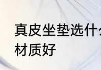 真皮坐垫选什么材质好 真皮坐垫选啥材质好