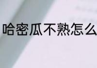 哈密瓜不熟怎么办 哈密瓜没熟怎么办