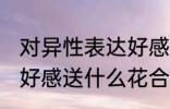 对异性表达好感送什么花 对异性表达好感送什么花合适