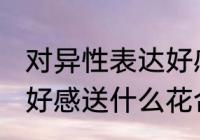 对异性表达好感送什么花 对异性表达好感送什么花合适